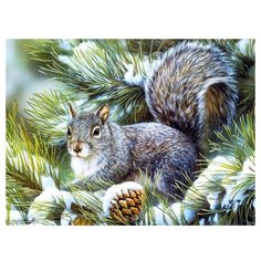 Color Kit Картина по номерам "Белка" 30х40 см (KS030)