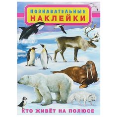 Книжка с наклейками Познавательные наклейки. Кто живет на полюсе Flamingo