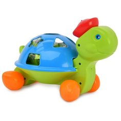 Сортер ZEBRATOYS Черепашка