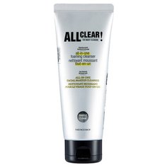 TheFaceShop пенка для умывания All Clear, 150 мл