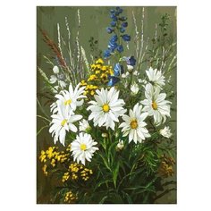 Белоснежка Картина по номерам "Полевые ромашки" 30х40 см (131-AS)