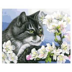 Белоснежка Картина по номерам "Яблоневый цвет" 40х50 см (929-AB)