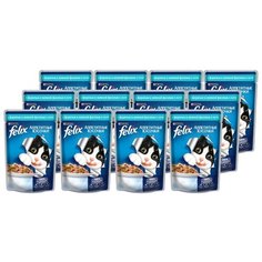 Корм для кошек Felix Аппетитные кусочки с форелью 24шт. х 85 г (кусочки в желе)
