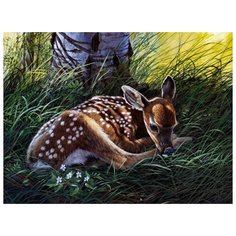 Color Kit Картина по номерам "Олешка" 30х40 см (KS006)