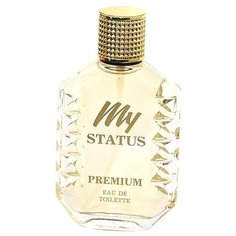 Туалетная вода Festiva My Status Premium, 100 мл