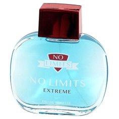 Туалетная вода Festiva No limits Extreme, 100 мл