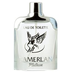 Туалетная вода PontiParfum Tamerlan Platinum, 100 мл