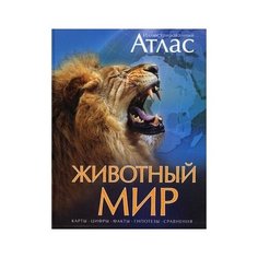 Бамбарадения Ч., Вудрафф Д., Гинзберг Д. "Животный мир" Machaon