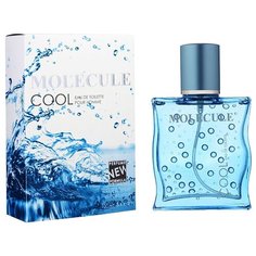 Туалетная вода Парфюмерия XXI века Molecule Cool, 100 мл