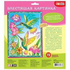 Дрофа-Медиа Набор для создания аппликации Колибри (3078)