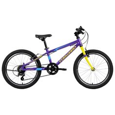 Подростковый горный (MTB) велосипед FORWARD Rise 20 2.0 (2019) фиолетовый/желтый 10.5" (требует финальной сборки)