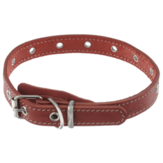 Ошейник Аркон Стандарт (о20ун) 44 см красный