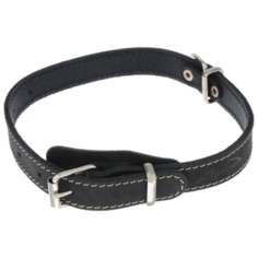 Ошейник Аркон Стандарт (о20/1) 32-44 см черный