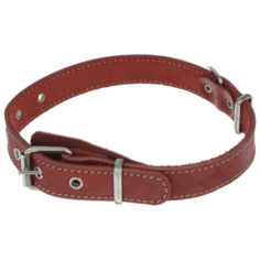 Ошейник Аркон Стандарт (о25/1) 40-54 см красный
