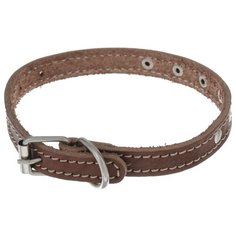 Ошейник Аркон Стандарт (о14) 22-29 см коньячный