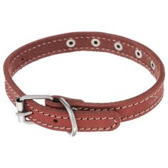 Ошейник Аркон Стандарт (о14) 22-29 см красный