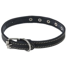 Ошейник Аркон Стандарт (о14) 22-29 см черный