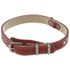 Ошейник Аркон Стандарт (о20п) 32-44 см красный