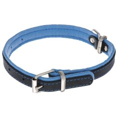 Ошейник Аркон Фетр (оф16) 26-34 см черный/голубой