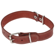 Ошейник Аркон Стандарт (о35/1к) 46-60 см красный