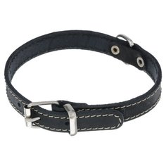 Ошейник Аркон Стандарт (о16/1) 26-34 см черный