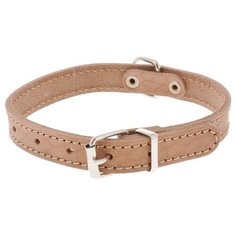 Ошейник Аркон Стандарт (о16/1) 26-34 см бежевый