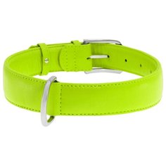 Ошейник COLLAR Glamour без украшений 3322 46-60 см лайм