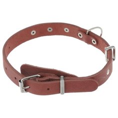 Ошейник Аркон Стандарт (о20) 32-44 см красный