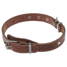 Ошейник Аркон Стандарт (о20) 32-44 см коньячный