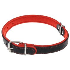 Ошейник Аркон Фетр (оф25) 40-54 см черный/красный