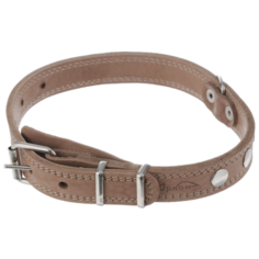 Ошейник Аркон Стандарт (о25/2) 40-54 см бежевый
