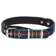 Ошейник Аркон Несси (он25) 40-54 см черный