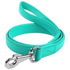 Поводок для собак COLLAR Glamour ментоловый 1.22 м 25 мм