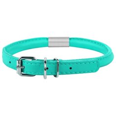 Ошейник COLLAR Glamour круглый с адресником 3478 45-53 см ментоловый