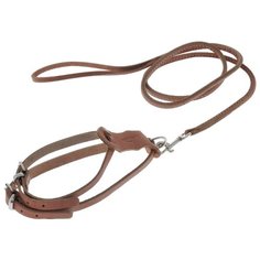 Шлейка с поводком Аркон Стандарт (к2), обхват шеи 26-34 см, коньячный