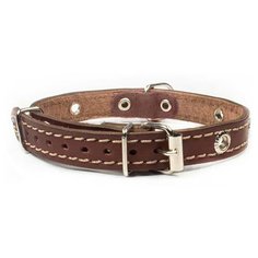 Ошейник Дарэлл Стандарт безразмерный (010114) 34 см коричневый