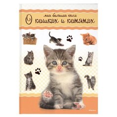 Моя большая книга о кошках и котятах Machaon