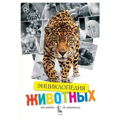 Джонсон Д. "Энциклопедия животных. От амёбы до шимпанзе" Machaon