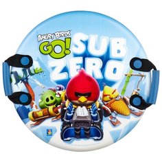 Ледянка 1 TOY Angry Birds (Т57213) голубой