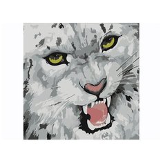 Color Kit Картина по номерам "Барс" 30х30 см (CD022)