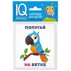 Кто где находится? Комплект односторонних карточек АЙРИС пресс