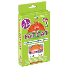 Клементьева Т.Б. "Английский язык. Толстый кот (Fat Cat). Читаем сочетания слов. Level 5. Набор карточек" АЙРИС пресс
