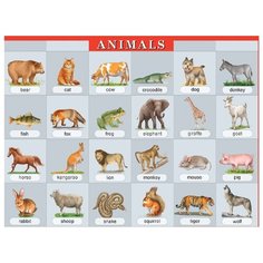 Животные. Наглядное пособие по английскому языку АЙРИС пресс