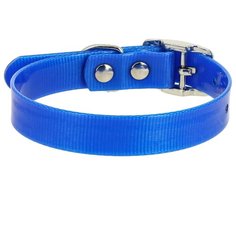 Ошейник КАСКАД Biotan (00212301) 20-24 см синий