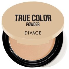 DIVAGE True Color пудра компактная 03