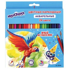Юнландия Карандаши цветные Юный волшебник 24 цвета (181404)