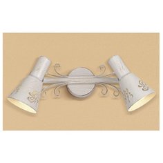 Спот Citilux Дункан CL529522