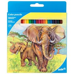 Kite цветные карандаши Животные, 24 цвета (K17-055-1)