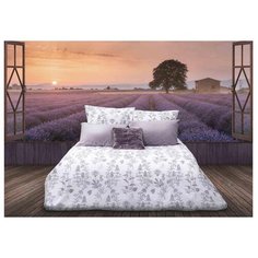 Постельное белье 1.5-спальное Sova & Javoronok Французский шарм 50х70 см, перкаль белый/серый