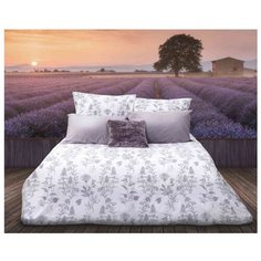 Постельное белье евростандарт Sova & Javoronok Французский шарм 50х70 см, перкаль белый/серый